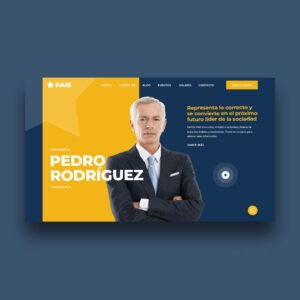 Diseno-pagina-web-para-diputados-congresistas-asambleistas-senadores-300x300